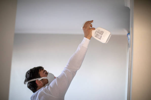 Best Attic Mold Removal  in Lake Of The Woods, VA