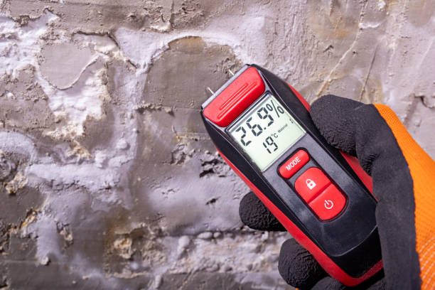 Best Mold Testing  in Lake Of The Woods, VA