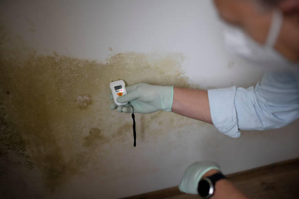 Mold Removal and Inspection in Lake Of The Woods, VA
