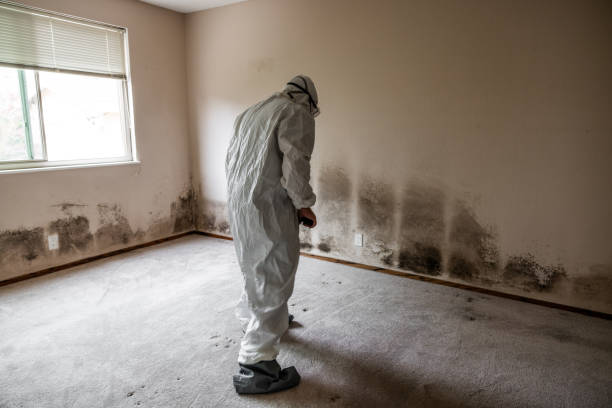 Home Mold Removal in Lake Of The Woods, VA