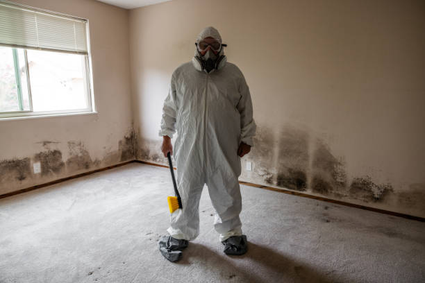 Best Local Mold Removal Service  in Lake Of The Woods, VA