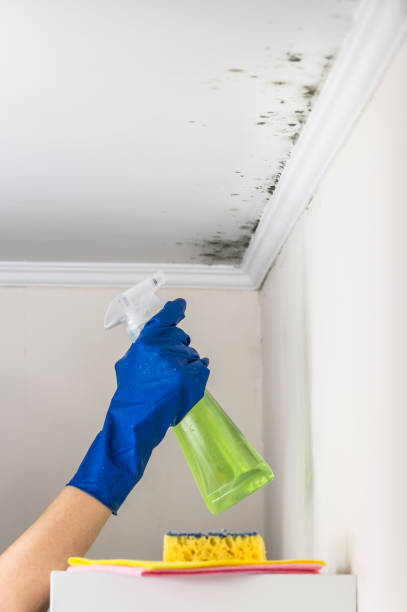 Best Crawl Space Mold Removal  in Lake Of The Woods, VA